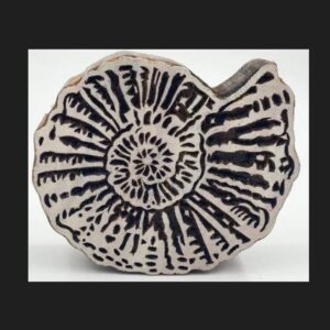 Assorted Shell Design Wooden Printing Block