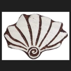 Sea-Shell Design for Block Printing